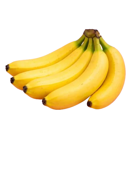 Cavendish Banana