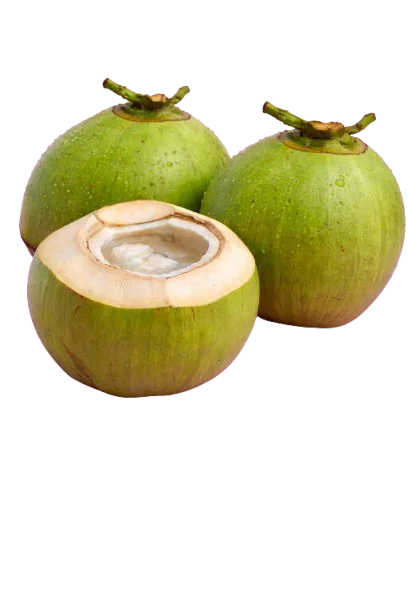 Tender Coconut